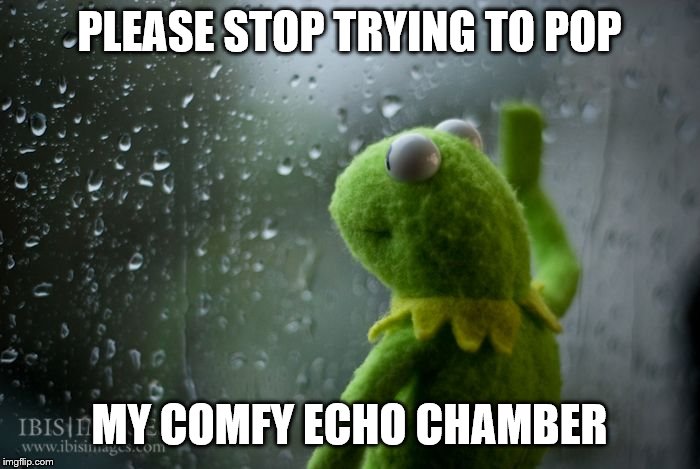 kermit window | PLEASE STOP TRYING TO POP MY COMFY ECHO CHAMBER | image tagged in kermit window | made w/ Imgflip meme maker