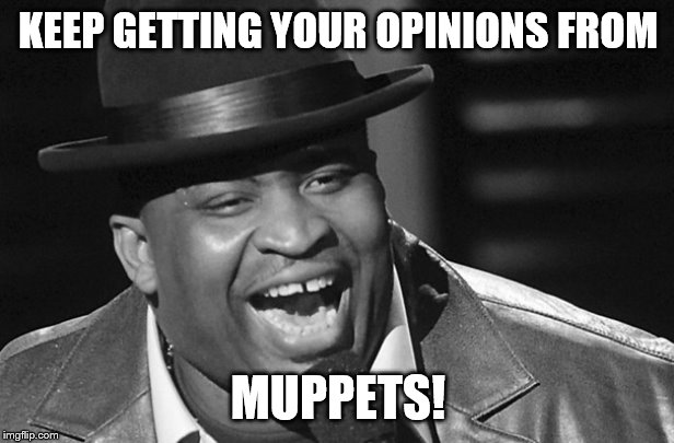 KEEP GETTING YOUR OPINIONS FROM MUPPETS! | made w/ Imgflip meme maker