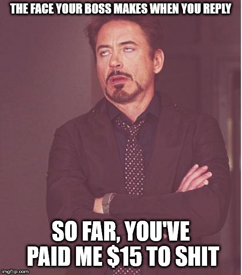 Face You Make Robert Downey Jr Meme | THE FACE YOUR BOSS MAKES WHEN YOU REPLY SO FAR, YOU'VE PAID ME $15 TO SHIT | image tagged in memes,face you make robert downey jr | made w/ Imgflip meme maker