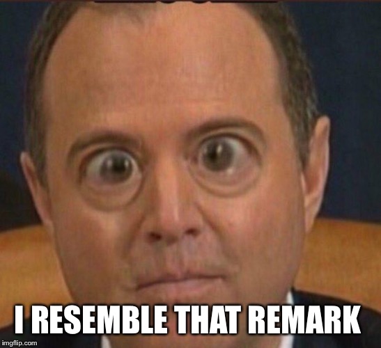 Schiff | I RESEMBLE THAT REMARK | image tagged in schiff | made w/ Imgflip meme maker