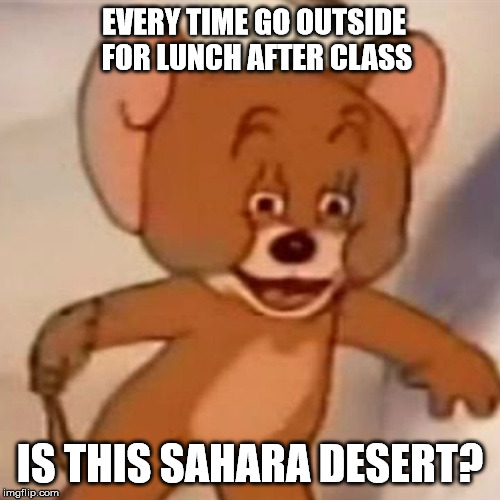 Polish Jerry | EVERY TIME GO OUTSIDE FOR LUNCH AFTER CLASS; IS THIS SAHARA DESERT? | image tagged in polish jerry | made w/ Imgflip meme maker