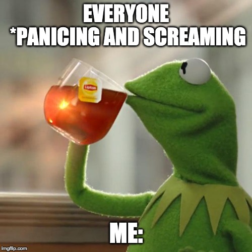 But That's None Of My Business Meme | EVERYONE *PANICING AND SCREAMING; ME: | image tagged in memes,but thats none of my business,kermit the frog | made w/ Imgflip meme maker
