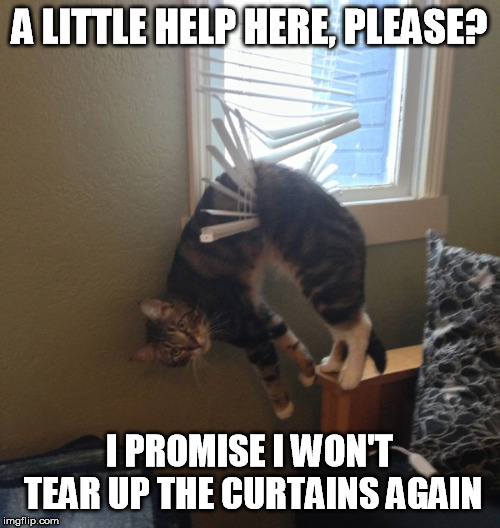 A LITTLE HELP HERE, PLEASE? I PROMISE I WON'T TEAR UP THE CURTAINS AGAIN | made w/ Imgflip meme maker