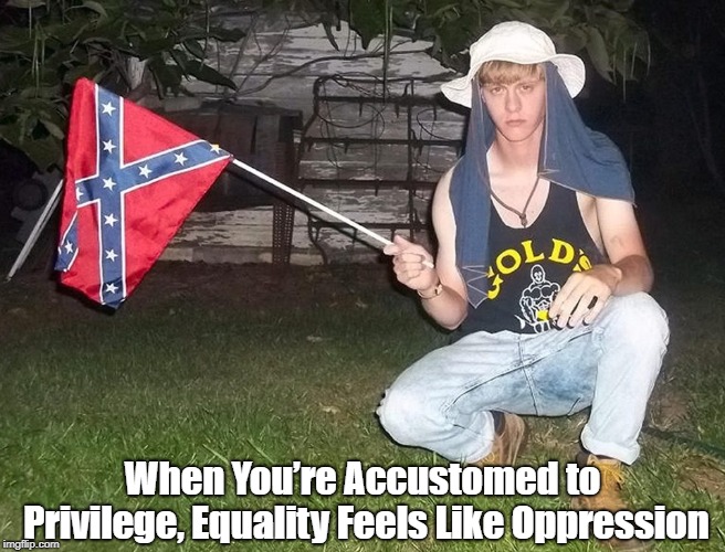 When Youâ€™re Accustomed to Privilege, Equality Feels Like Oppression | made w/ Imgflip meme maker