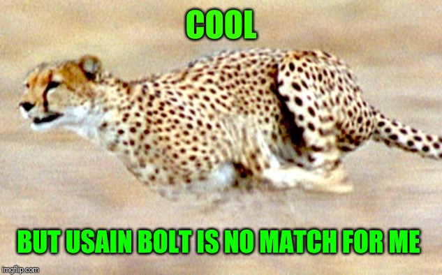 I like to go fast cheetah | COOL BUT USAIN BOLT IS NO MATCH FOR ME | image tagged in i like to go fast cheetah | made w/ Imgflip meme maker