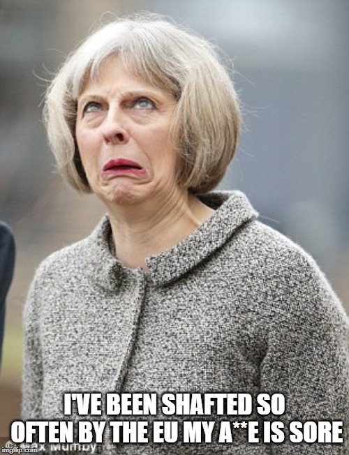 Theresa May | I'VE BEEN SHAFTED SO OFTEN BY THE EU MY A**E IS SORE | image tagged in theresa may | made w/ Imgflip meme maker