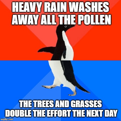 Socially Awesome Awkward Penguin | HEAVY RAIN WASHES AWAY ALL THE POLLEN; THE TREES AND GRASSES DOUBLE THE EFFORT THE NEXT DAY | image tagged in memes,socially awesome awkward penguin,AdviceAnimals | made w/ Imgflip meme maker