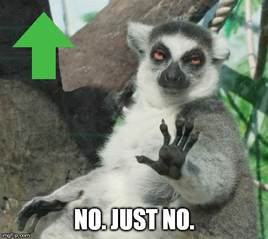 Stoner Lemur Meme | NO. JUST NO. | image tagged in memes,stoner lemur | made w/ Imgflip meme maker