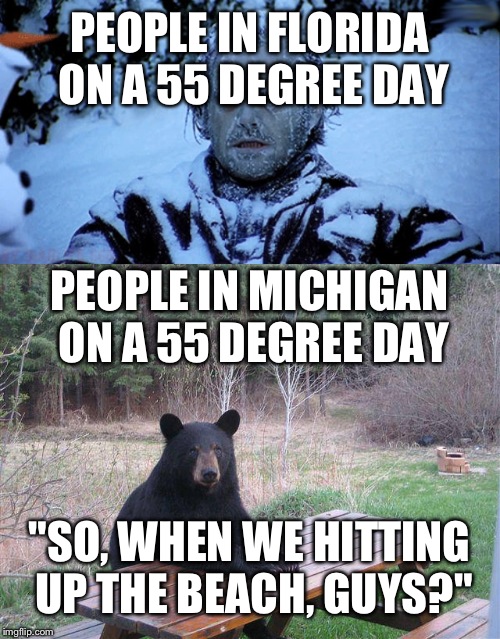 PEOPLE IN FLORIDA ON A 55 DEGREE DAY; PEOPLE IN MICHIGAN ON A 55 DEGREE DAY; "SO, WHEN WE HITTING UP THE BEACH, GUYS?" | image tagged in bear at picnic table,freezing cold | made w/ Imgflip meme maker