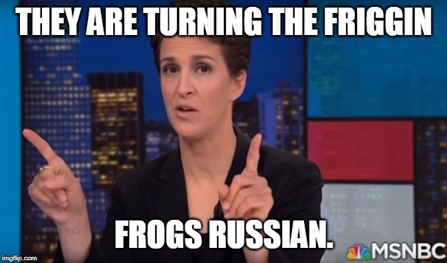 Trump is turning the frogs Russian | THEY ARE TURNING THE FRIGGIN; FROGS RUSSIAN. | image tagged in donald trump,trump russia collusion,rachel maddow | made w/ Imgflip meme maker