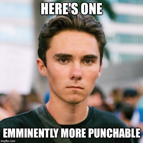 David Hogg | HERE'S ONE EMMINENTLY MORE PUNCHABLE | image tagged in david hogg | made w/ Imgflip meme maker