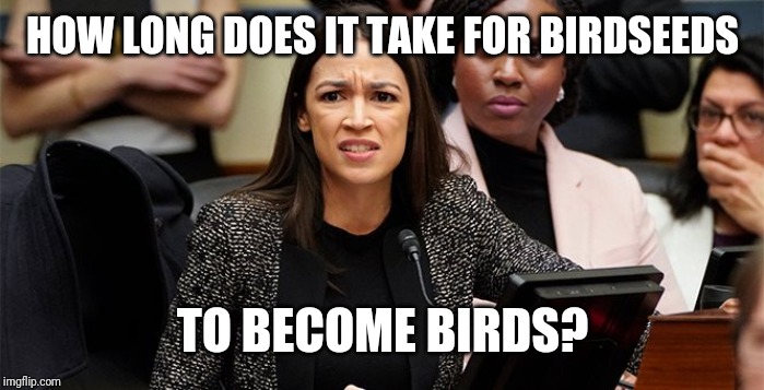 alexandria ocasio-cortez | HOW LONG DOES IT TAKE FOR BIRDSEEDS; TO BECOME BIRDS? | image tagged in politics,aoc,alexandria ocasio-cortez | made w/ Imgflip meme maker