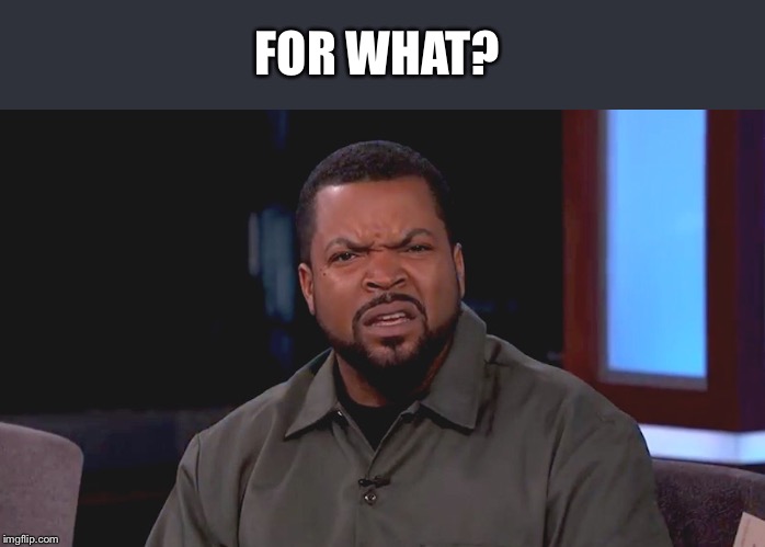 Really? Ice Cube | FOR WHAT? | image tagged in really ice cube | made w/ Imgflip meme maker