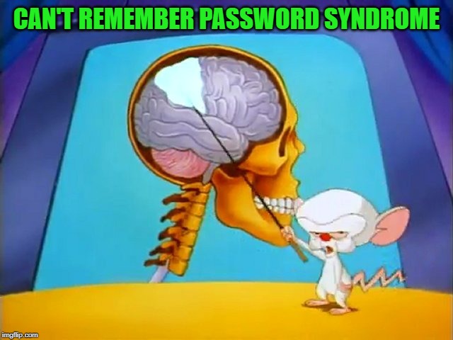 the brain | CAN'T REMEMBER PASSWORD SYNDROME | image tagged in the brain | made w/ Imgflip meme maker