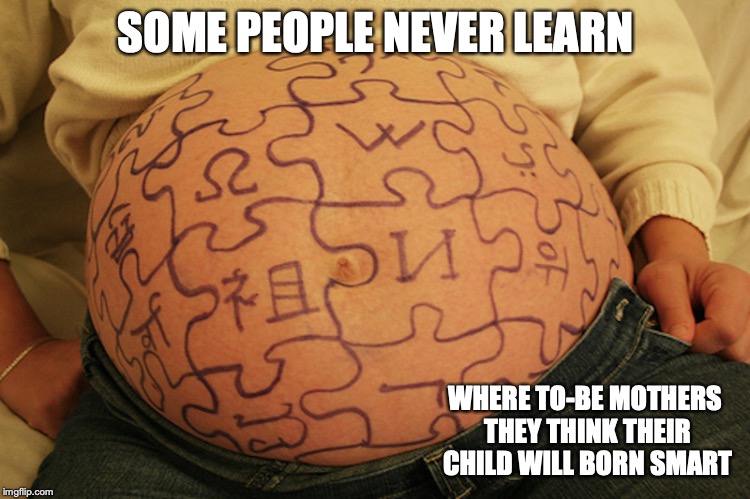 Wikipedia Baby | SOME PEOPLE NEVER LEARN; WHERE TO-BE MOTHERS THEY THINK THEIR CHILD WILL BORN SMART | image tagged in wikipedia,pregnant,memes | made w/ Imgflip meme maker