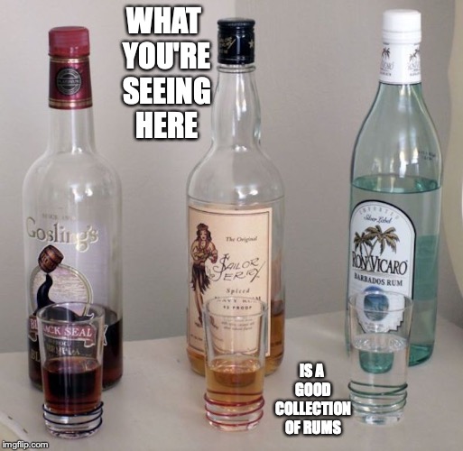 Three Rums | WHAT YOU'RE SEEING HERE; IS A GOOD COLLECTION OF RUMS | image tagged in rum,alcohol,memes | made w/ Imgflip meme maker