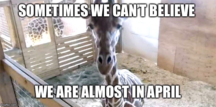 April | SOMETIMES WE CAN’T BELIEVE; WE ARE ALMOST IN APRIL | image tagged in april | made w/ Imgflip meme maker