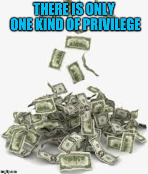 Green Privilege | THERE IS ONLY ONE KIND OF PRIVILEGE | image tagged in pile of money | made w/ Imgflip meme maker