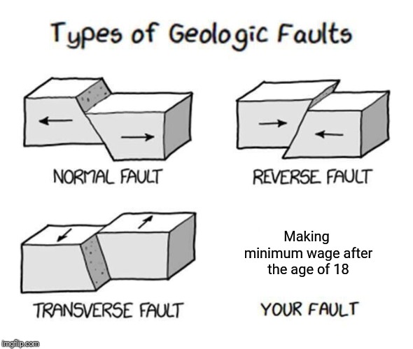 Types of Faults | Making minimum wage after the age of 18 | image tagged in types of faults | made w/ Imgflip meme maker