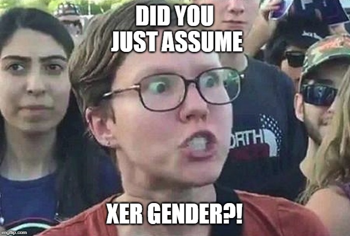Triggered Liberal | DID YOU JUST ASSUME XER GENDER?! | image tagged in triggered liberal | made w/ Imgflip meme maker