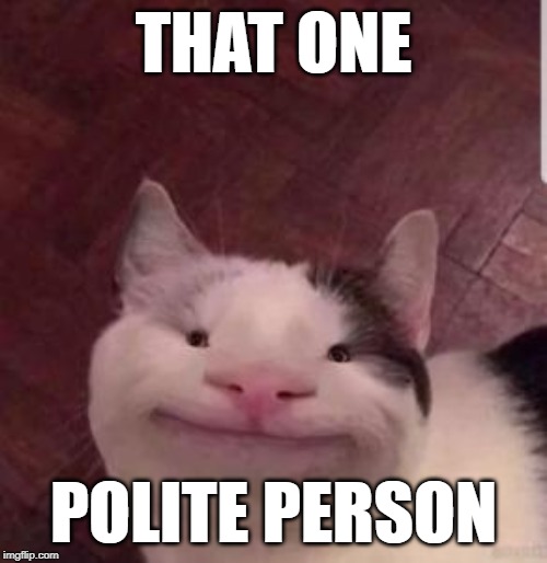 THAT ONE; POLITE PERSON | image tagged in the most polite cat | made w/ Imgflip meme maker