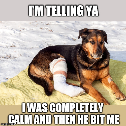 I'M TELLING YA I WAS COMPLETELY CALM AND THEN HE BIT ME | made w/ Imgflip meme maker