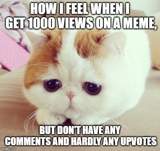 Sad Cat | HOW I FEEL WHEN I GET 1000 VIEWS ON A MEME, BUT DON'T HAVE ANY COMMENTS AND HARDLY ANY UPVOTES | image tagged in sad cat | made w/ Imgflip meme maker