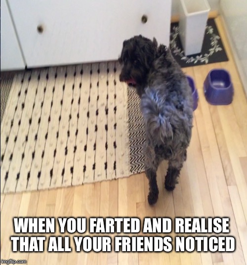 WHEN YOU FARTED AND REALISE THAT ALL YOUR FRIENDS NOTICED | made w/ Imgflip meme maker