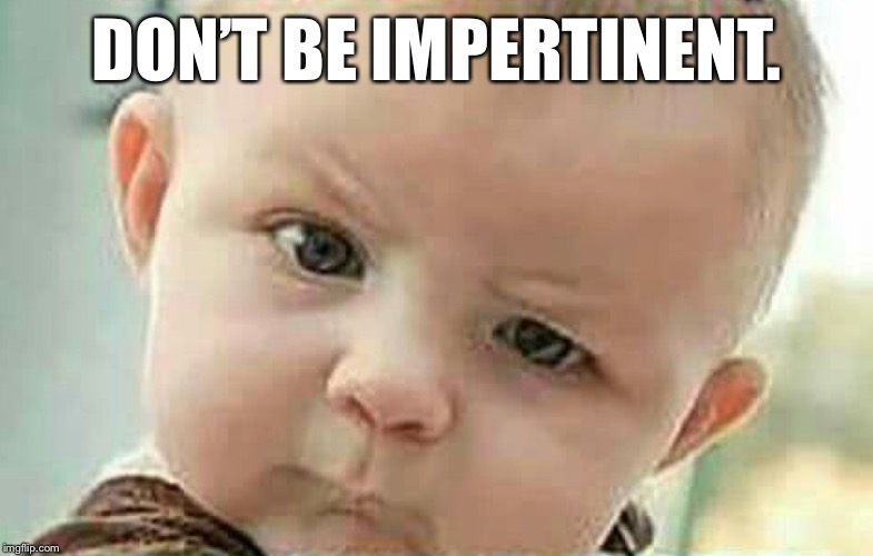 DON’T BE IMPERTINENT. | made w/ Imgflip meme maker