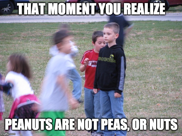 That Moment When You Realize | THAT MOMENT YOU REALIZE; PEANUTS ARE NOT PEAS, OR NUTS | image tagged in that moment when you realize | made w/ Imgflip meme maker