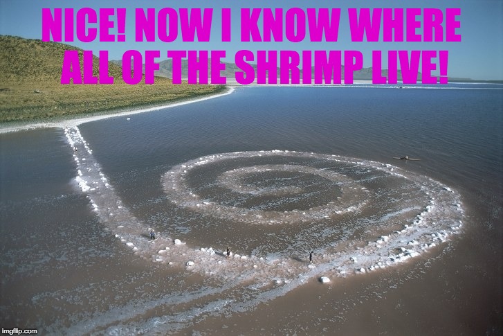 ShRiMp | NICE! NOW I KNOW WHERE ALL OF THE SHRIMP LIVE! | image tagged in shrimp,ocean,island | made w/ Imgflip meme maker