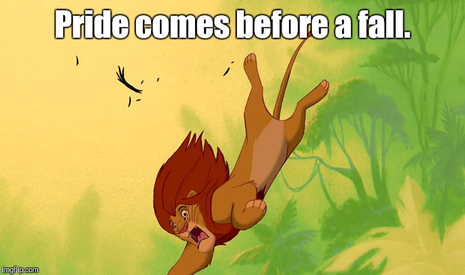 Simba Falling | Pride comes before a fall. | image tagged in simba falling,memes | made w/ Imgflip meme maker