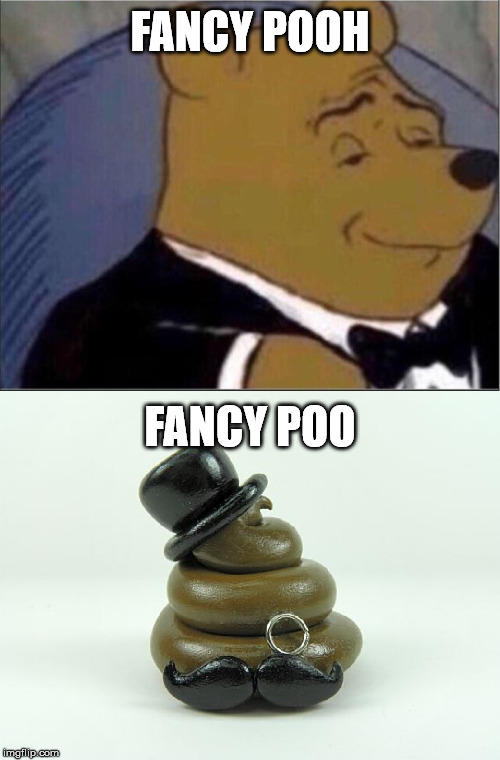 Danger of confusion! | FANCY POOH; FANCY POO | image tagged in fancy,pooh,winnie the pooh,poop,poo,funnymemes | made w/ Imgflip meme maker