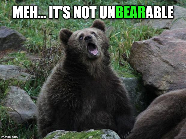 Sarcastic Bear | MEH... IT'S NOT UNBEARABLE BEAR | image tagged in sarcastic bear | made w/ Imgflip meme maker