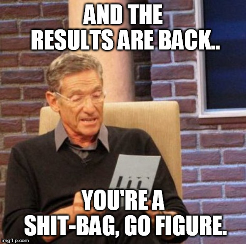 Maury Lie Detector | AND THE RESULTS ARE BACK.. YOU'RE A SHIT-BAG, GO FIGURE. | image tagged in memes,maury lie detector | made w/ Imgflip meme maker