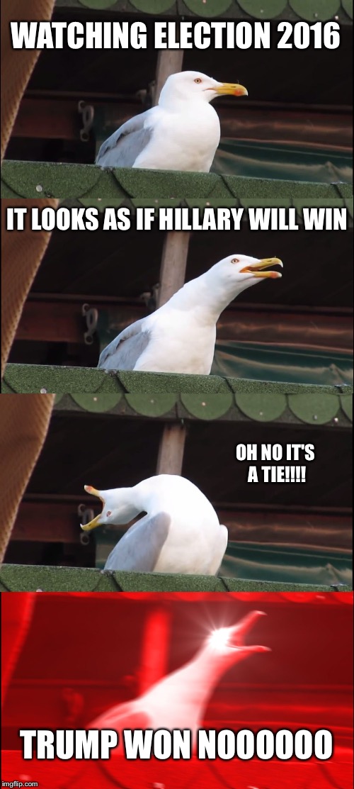 Inhaling Seagull | WATCHING ELECTION 2016; IT LOOKS AS IF HILLARY WILL WIN; OH NO IT'S A TIE!!!! TRUMP WON NOOOOOO | image tagged in memes,inhaling seagull | made w/ Imgflip meme maker