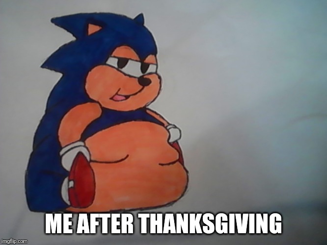 Sonic | ME AFTER THANKSGIVING | image tagged in sonic | made w/ Imgflip meme maker