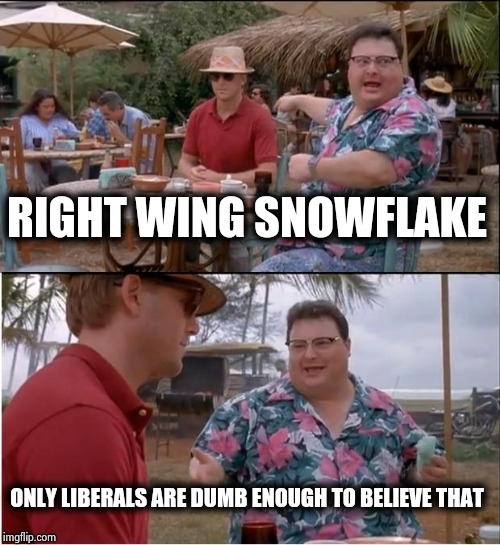 See Nobody Cares Meme | RIGHT WING SNOWFLAKE ONLY LIBERALS ARE DUMB ENOUGH TO BELIEVE THAT | image tagged in memes,see nobody cares | made w/ Imgflip meme maker