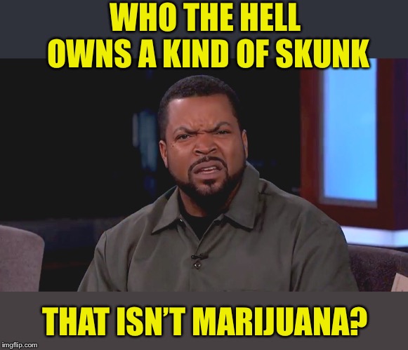Really? Ice Cube | WHO THE HELL OWNS A KIND OF SKUNK THAT ISN’T MARIJUANA? | image tagged in really ice cube | made w/ Imgflip meme maker