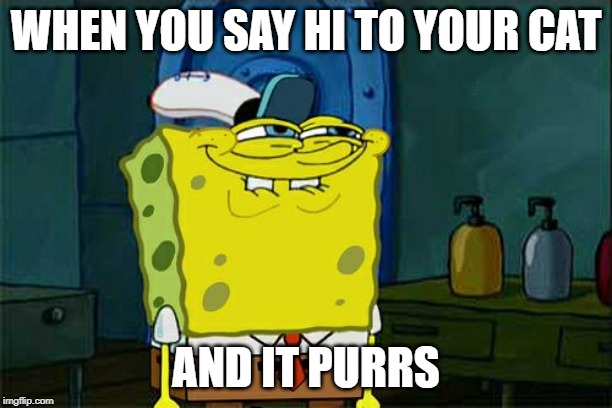Don't You Squidward Meme | WHEN YOU SAY HI TO YOUR CAT; AND IT PURRS | image tagged in memes,dont you squidward | made w/ Imgflip meme maker