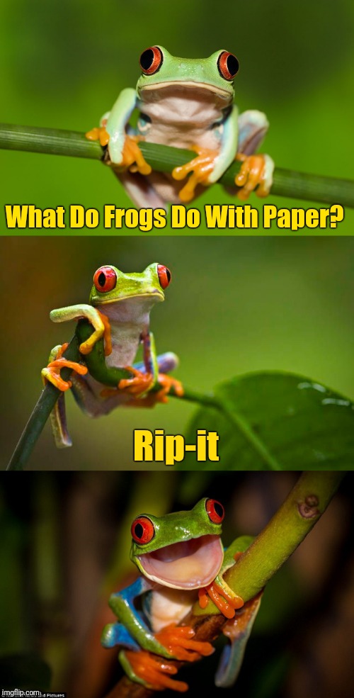 Rip it, Rip it, Rip it, Rip it, Rip it, Rip it, Rip it, Rip it, Rip it, Rip it, Rip it, Rip it | What Do Frogs Do With Paper? Rip-it | image tagged in frog puns,memes,front page,streams | made w/ Imgflip meme maker