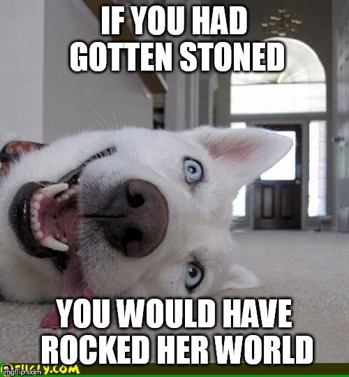 high dog | IF YOU HAD GOTTEN STONED YOU WOULD HAVE ROCKED HER WORLD | image tagged in high dog | made w/ Imgflip meme maker
