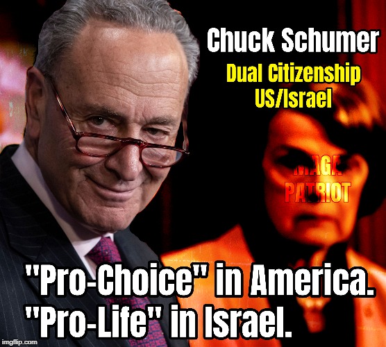Chuck Schumer Abortion | image tagged in chuck schumer,abortion,pro life,israel,pro choice | made w/ Imgflip meme maker