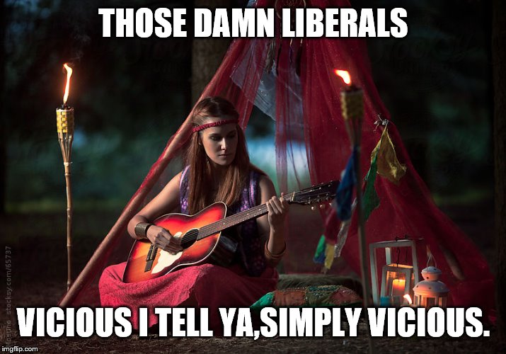 Memes, Hippies, Girl with Guitar, Hippie Girl | THOSE DAMN LIBERALS VICIOUS I TELL YA,SIMPLY VICIOUS. | image tagged in memes hippies girl with guitar hippie girl | made w/ Imgflip meme maker