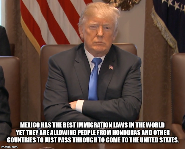 Stubborn Trump | MEXICO HAS THE BEST IMMIGRATION LAWS IN THE WORLD YET THEY ARE ALLOWING PEOPLE FROM HONDURAS AND OTHER COUNTRIES TO JUST PASS THROUGH TO COME TO THE UNITED STATES. | image tagged in stubborn trump | made w/ Imgflip meme maker