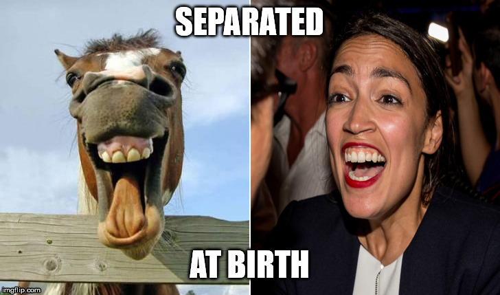 Can't you see the resemblance | SEPARATED; AT BIRTH | image tagged in alexandria ocasio-cortez,horse,donkey | made w/ Imgflip meme maker