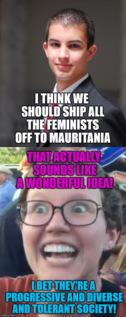 I THINK WE SHOULD SHIP ALL THE FEMINISTS OFF TO MAURITANIA; THAT ACTUALLY SOUNDS LIKE A WONDERFUL IDEA! I BET THEY'RE A PROGRESSIVE AND DIVERSE AND TOLERANT SOCIETY! | image tagged in college conservative,feminist,diversity,tolerance,progressive,africa | made w/ Imgflip meme maker