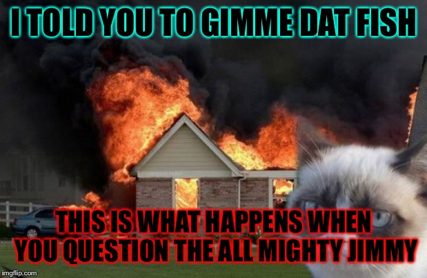 Burn Kitty | I TOLD YOU TO GIMME DAT FISH; THIS IS WHAT HAPPENS WHEN YOU QUESTION THE ALL MIGHTY JIMMY | image tagged in memes,burn kitty,grumpy cat | made w/ Imgflip meme maker