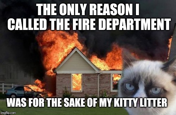 Burn Kitty Meme | THE ONLY REASON I CALLED THE FIRE DEPARTMENT WAS FOR THE SAKE OF MY KITTY LITTER | image tagged in memes,burn kitty,grumpy cat | made w/ Imgflip meme maker