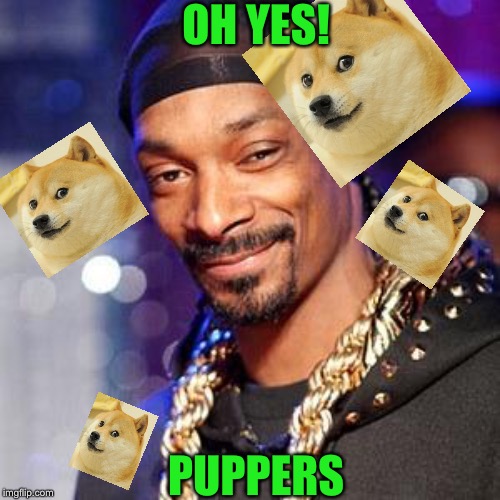 OH YES! PUPPERS | image tagged in snoop dogg,doge | made w/ Imgflip meme maker